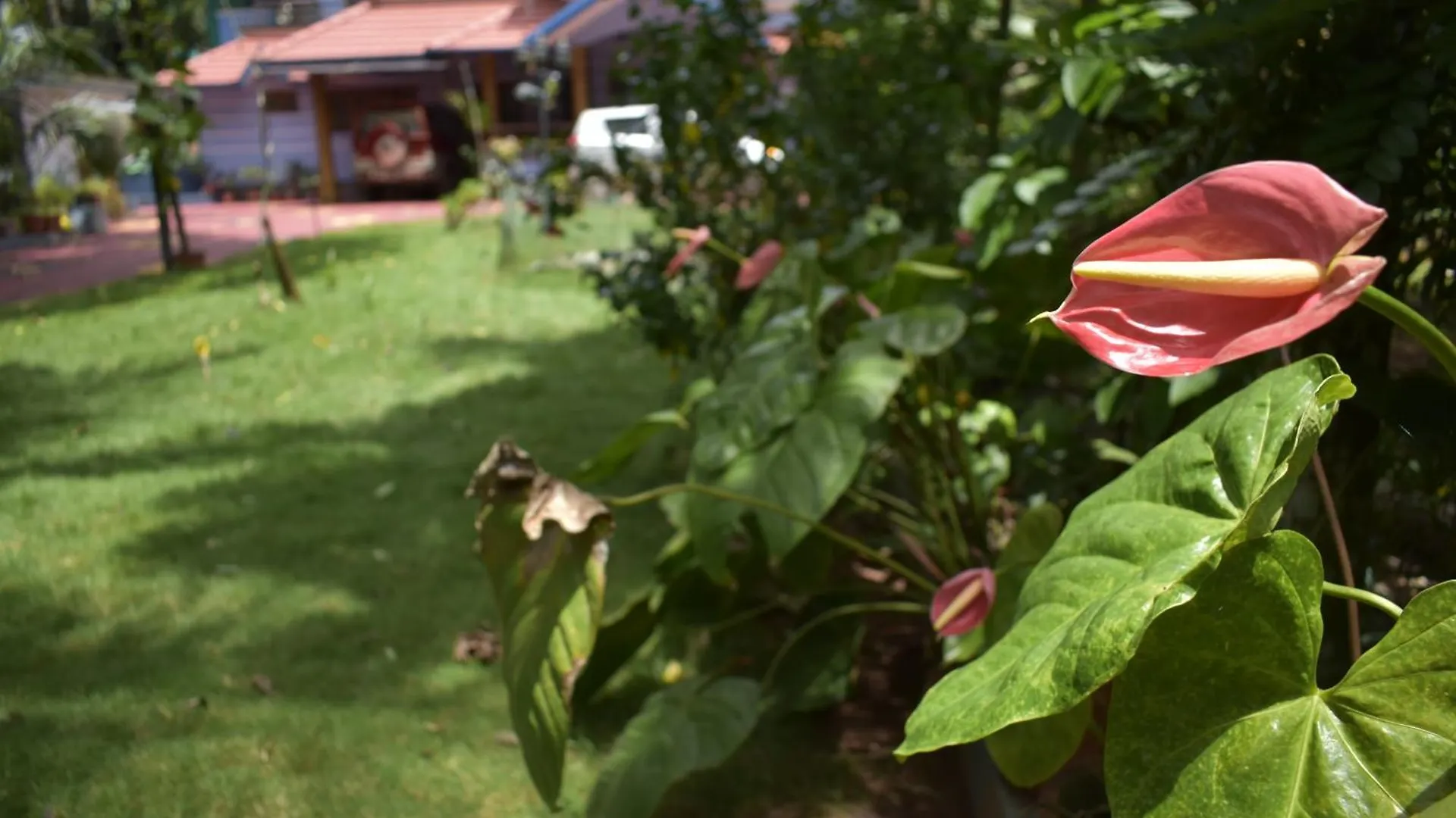 Ben'S Villa Kannur !
